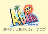 あがんにゃブログ
