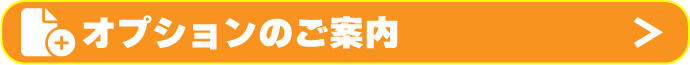 オプションのご案内