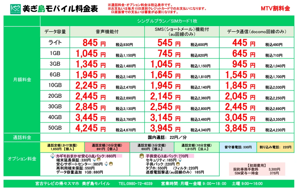 2025料金表 シングルプラン（詳細MTV割